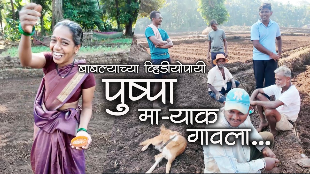 बाबल्याच्या व्हिडीयोपायी पुष्पा माऱ्याक गावला नी पाठीमागसून बोलता सगळाचं रेकॉर्ड झाला😜| #कोकण #kokan
