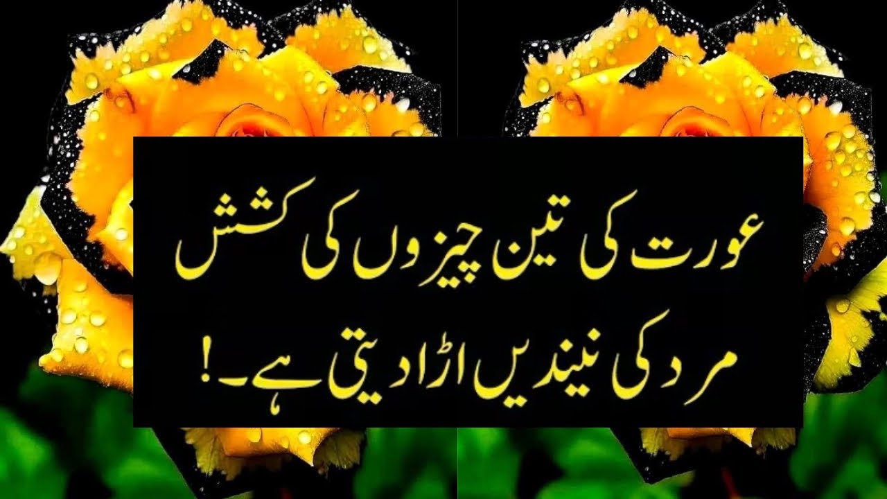 Life Changing Quotes In Urdu|Bano Qudsia heart touching Quotes|Husband Wife love Relationship Quotes