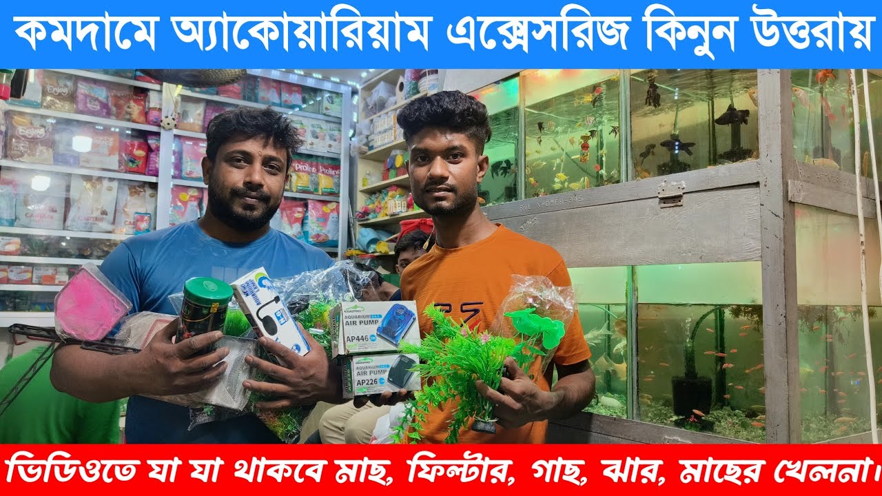 Aquarium Accessories Price In Bangladesh 2025 | Aquarium setup | Aquarium Toy and Plante