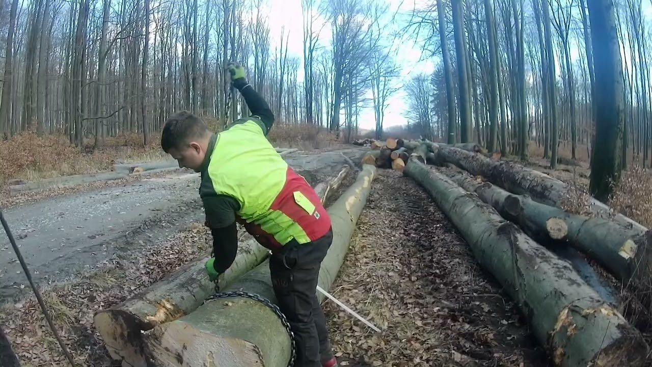 Ťažba dreva, Skidder LKT 81Turbo