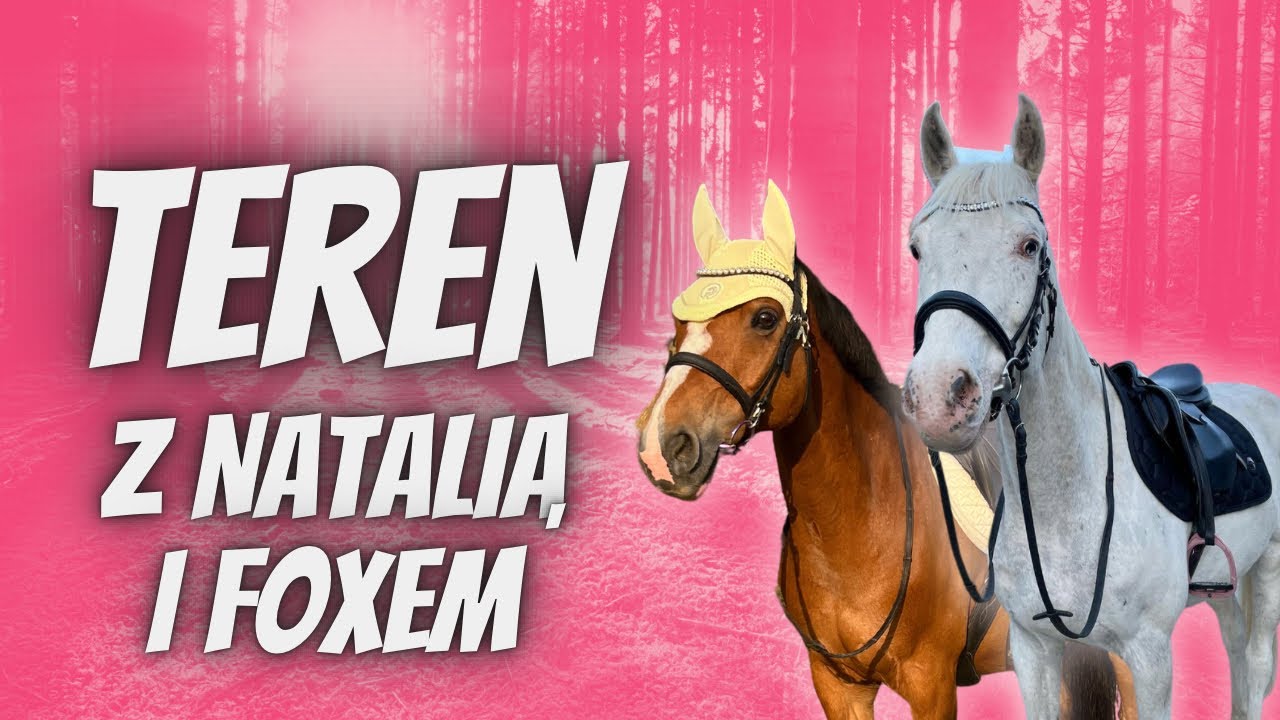 TEREN Z NATALIĄ I FOXEM - GALOP PO ŚCIERNISKU, SKOKI PRZEZ KŁODĘ, KONIE NAS PONIOSŁY 🤠