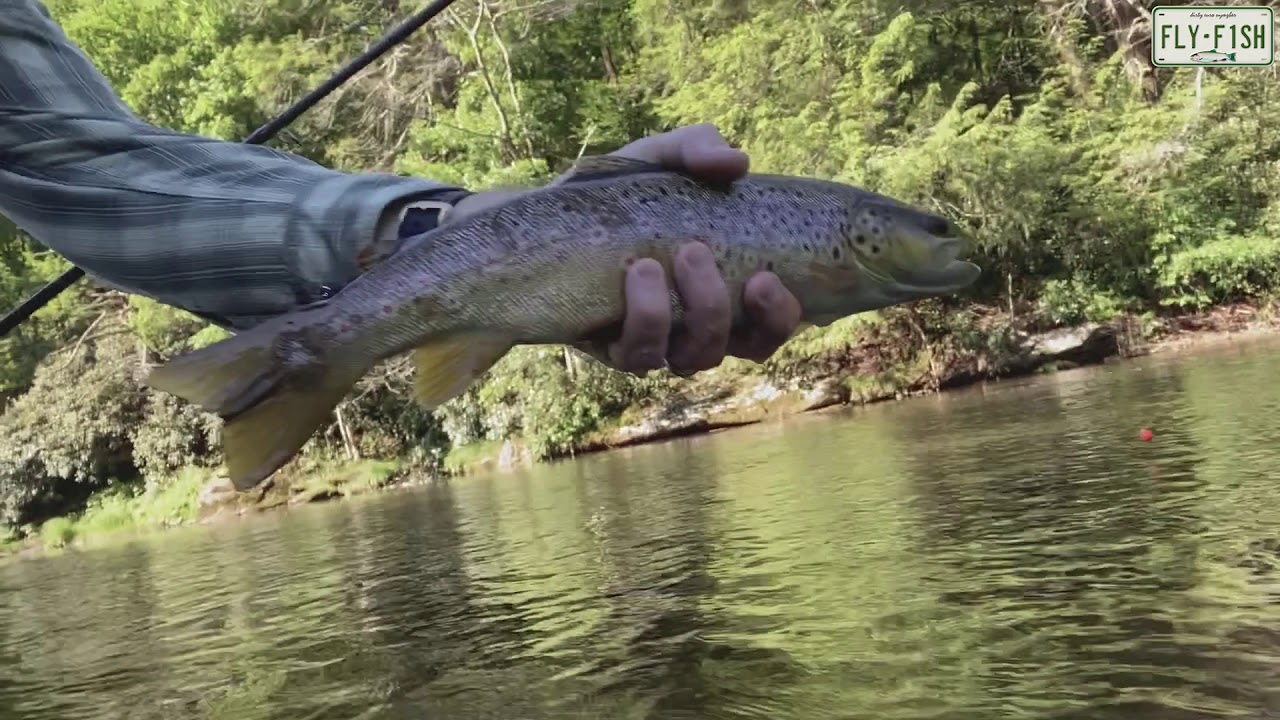 Fly Fishing - Neversink River June 12 2020