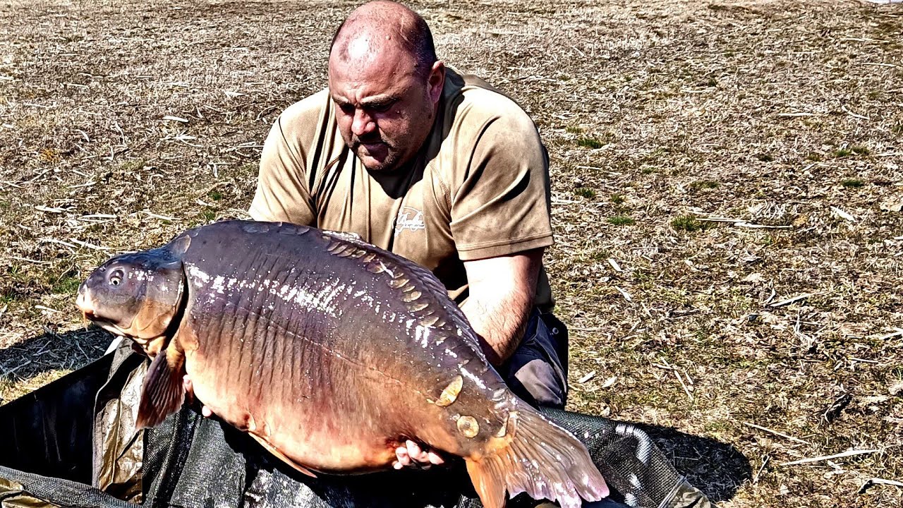 Populare Crap Balta Sânpaul, 30+,26+,25+, Martie 2021