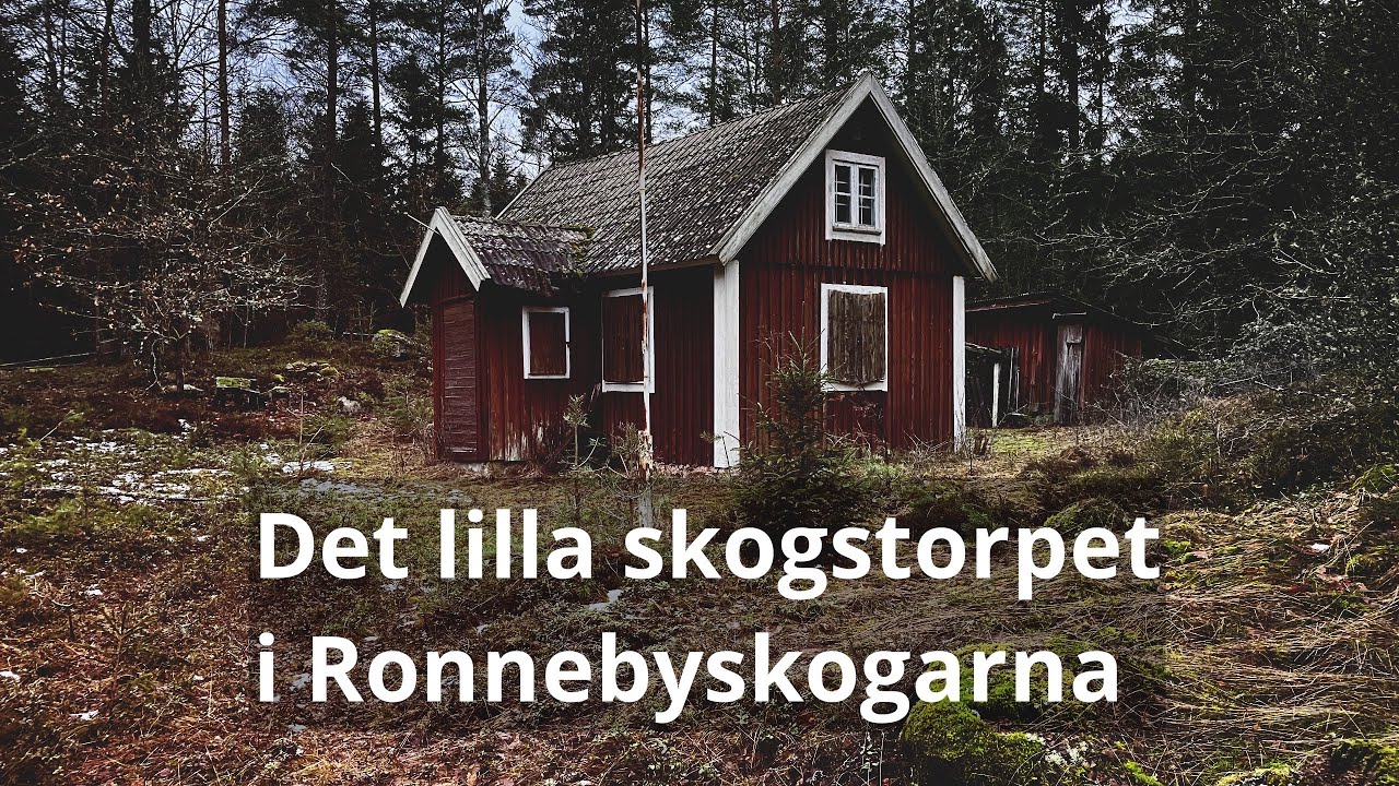 DET LILLA SKOGSTORPET i RONNEBYSKOGARNA - 2023-02-13 - Blekinge
