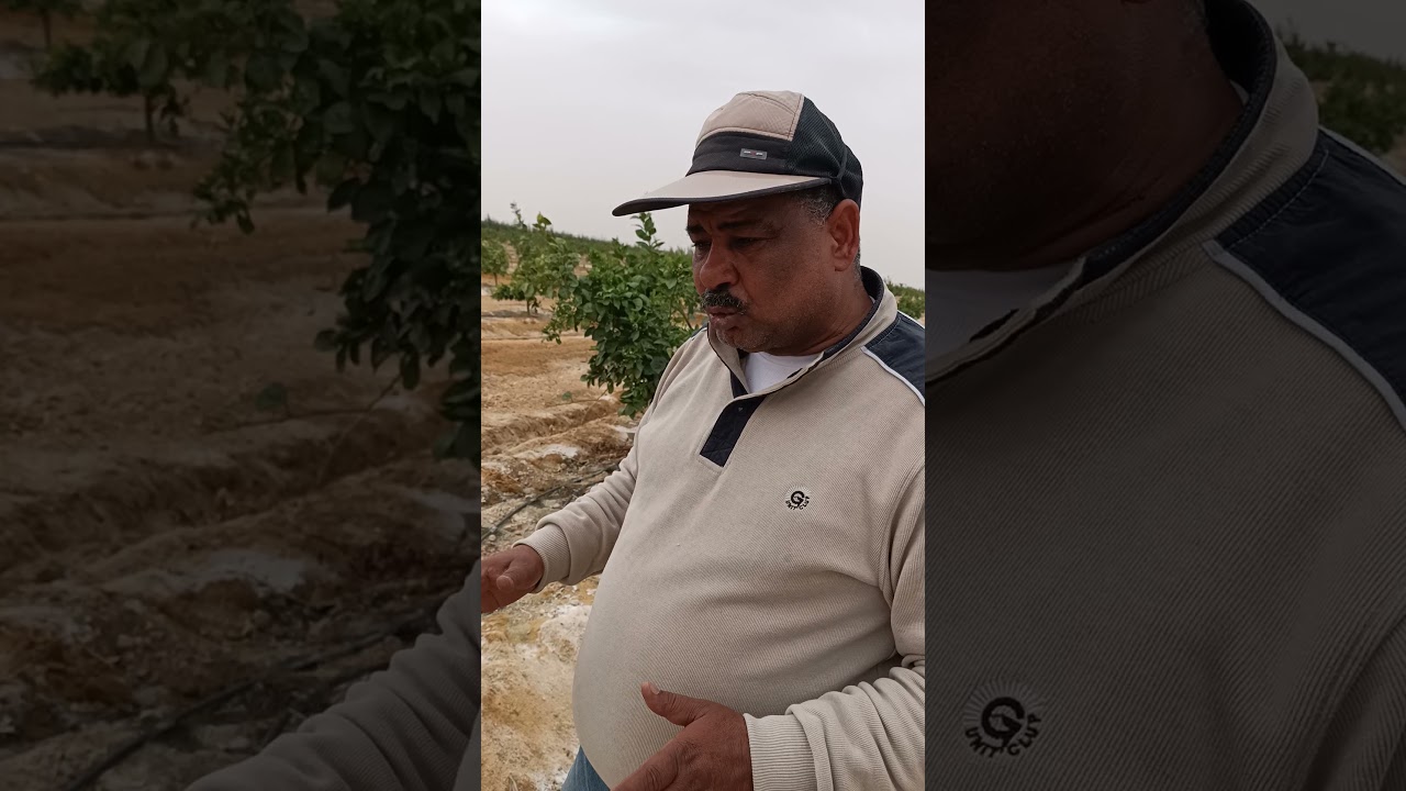 شجرة الموالح.م.عابد موسى.الاملاح و الموالح