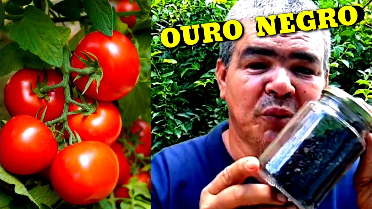 Grátis adubo caseiro rico em potássio para frutos grandes e saborosos #cascadebanana #potássio