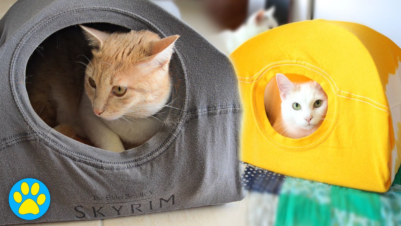Does This Pin Work? | DIY Cat Tent