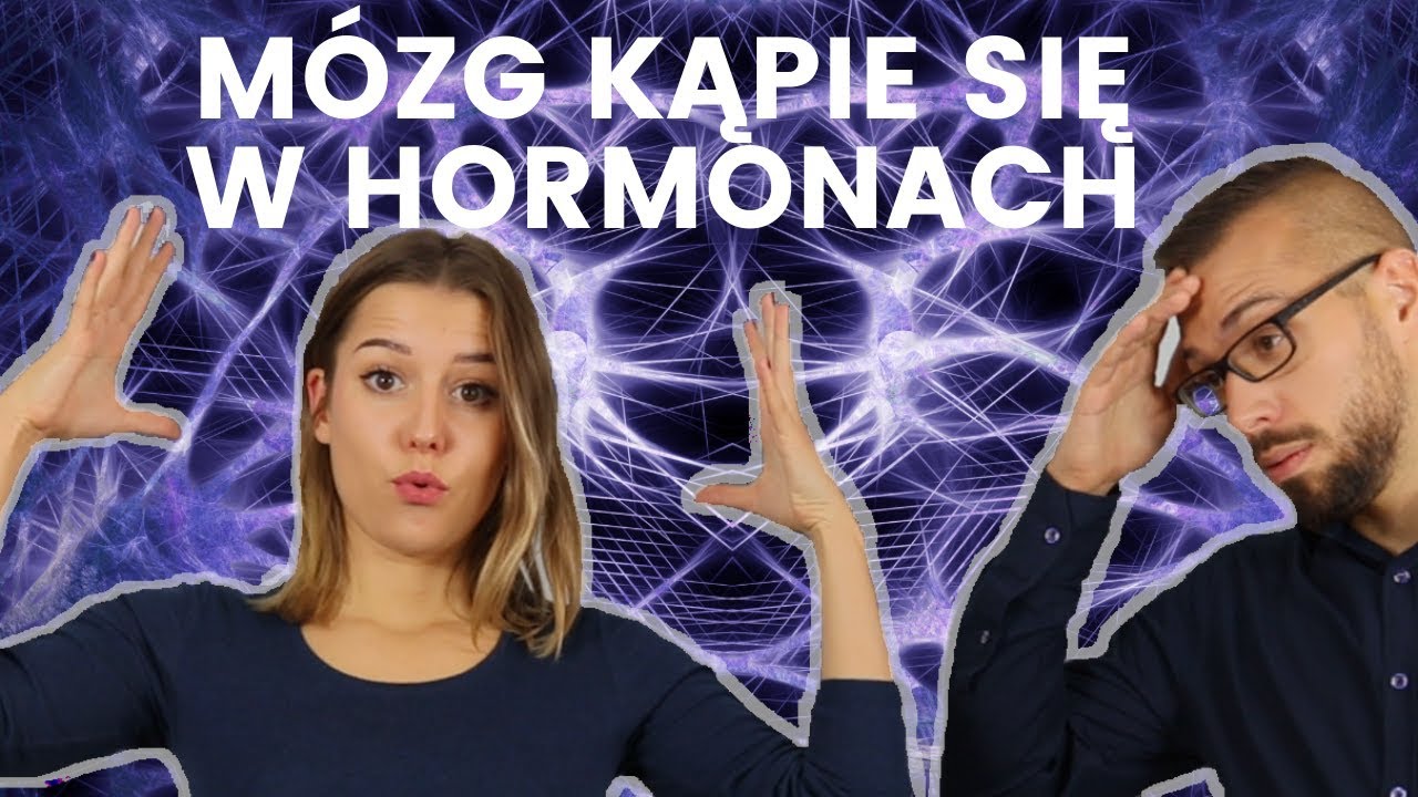 MÓZG KĄPIE SIĘ W HORMONACH - kilka słów o procesie uczenia się