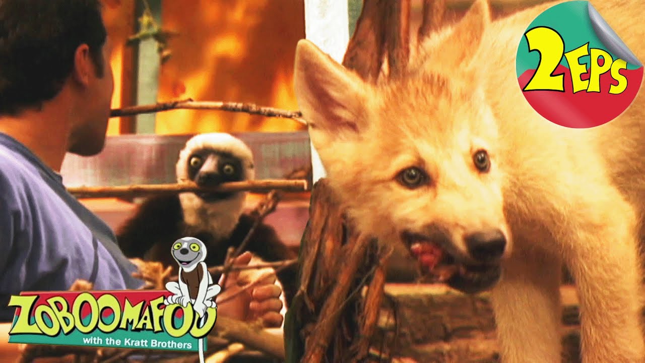 Fierce Creatures + Homes | Zoboomafoo - Double Feature | Full Episodes 11 + 12