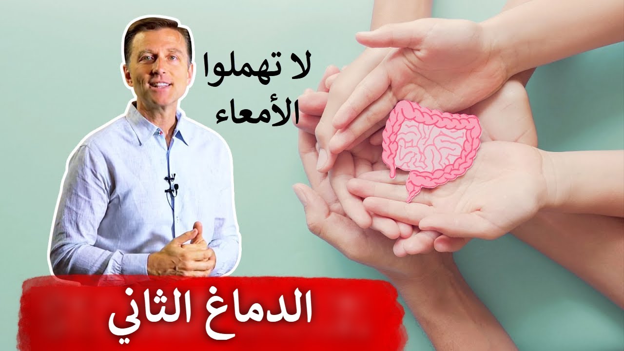 الأمعاء هي الدماغ الثاني فلا تهملها لهذه الأسباب