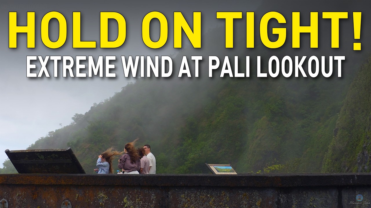 THE WIND IS INSANE HERE! 🌬️ Nuuanu Pali Lookout, Hawaii 🌴 Hawaii John