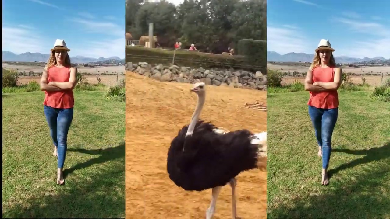 Graad R se reis | Vo&euml;ls.