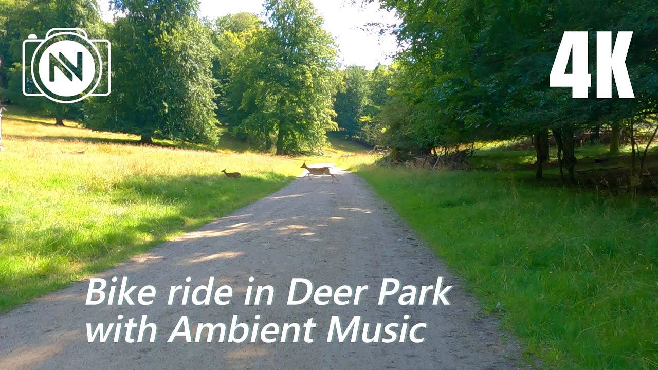 4K Virtual Bike & Relaxing Ambient Music - The Hermitage Castle in the Deer Park - Use Headphones 🎧
