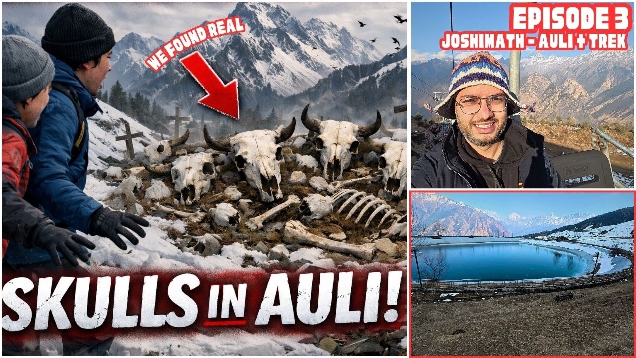 Auli mai Trekking karte huae mila animal bones ka graveyard | Episode 3 Joshimath to Auli Uttrakhand