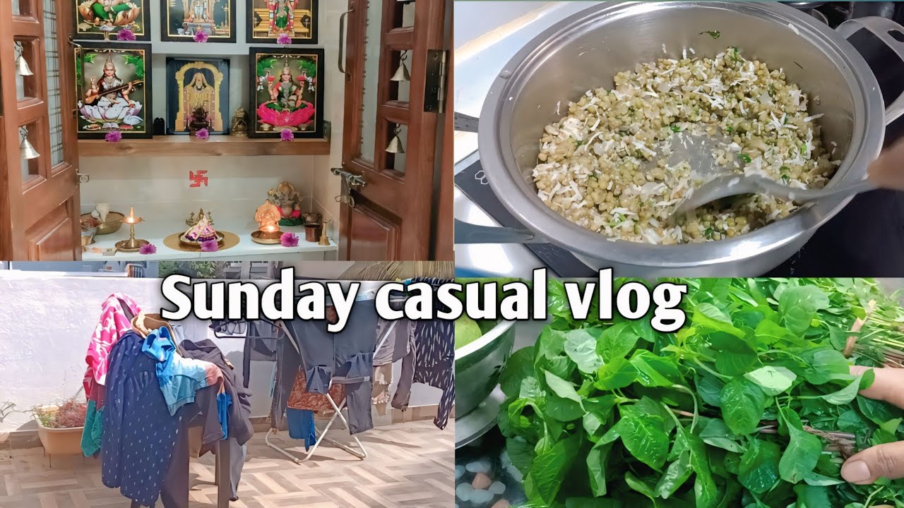 Sunday casual vlog /Health care tips/vitamin B12 food/Iron rich foods