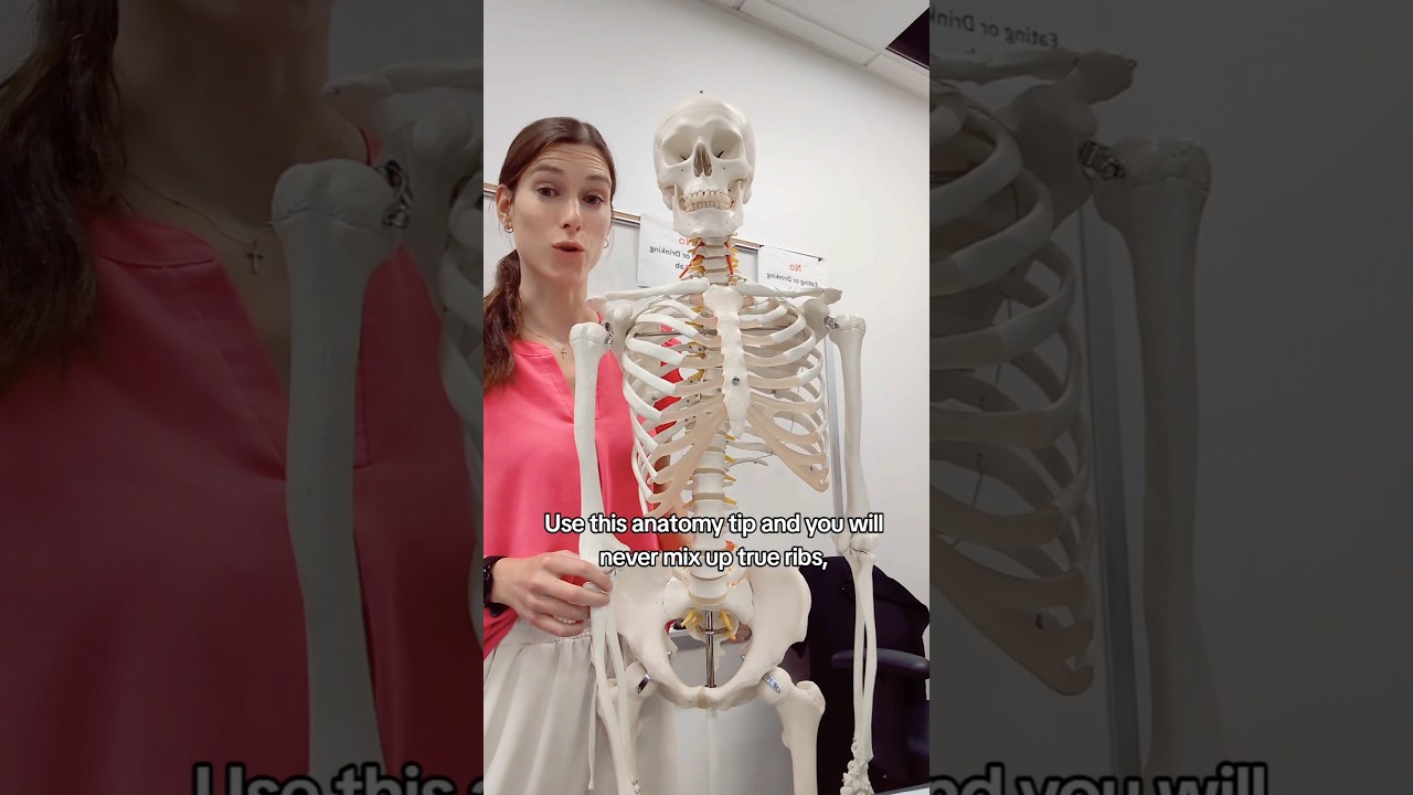 Никогда не забывайте: истинные, ложные и плавающие ребра #анатомия #тестпоанатомии #ствол #анатом...