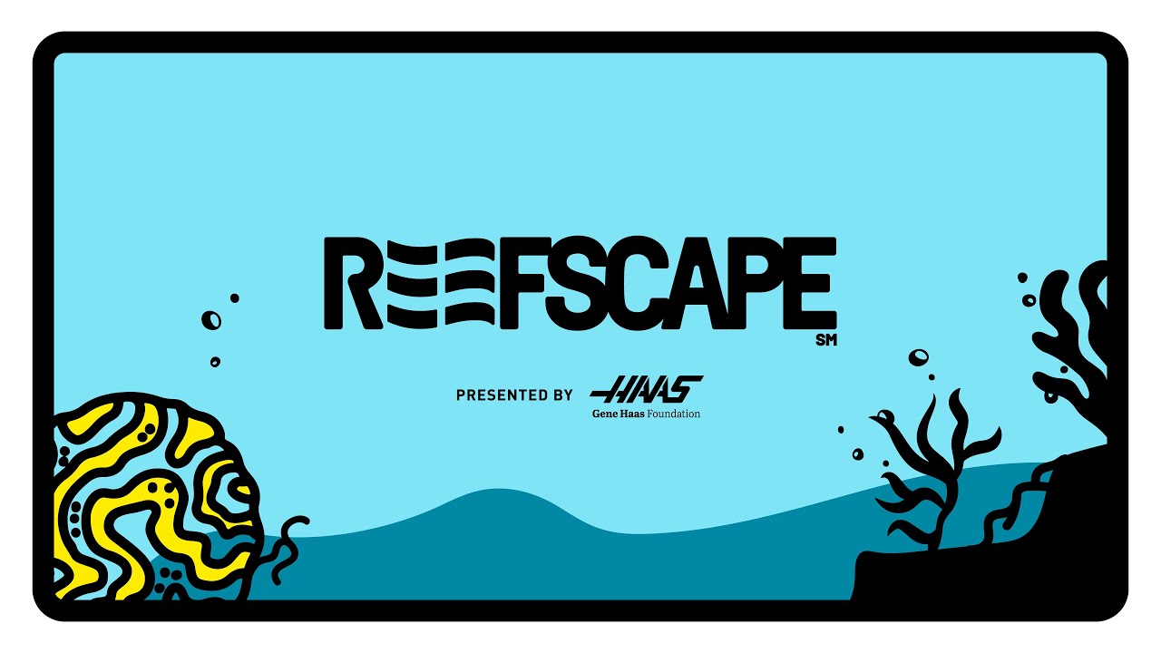 Dive into REEFSCAPE
