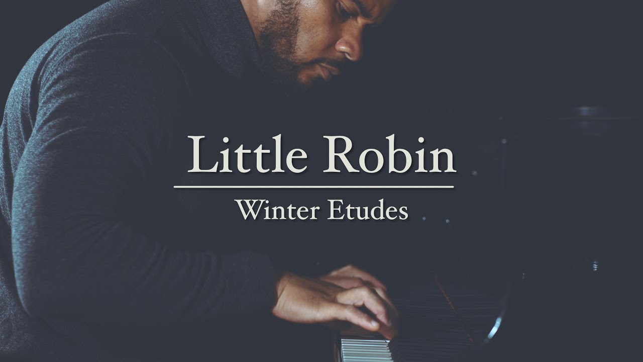 Little Robin - Winter Etudes - Karim Kamar