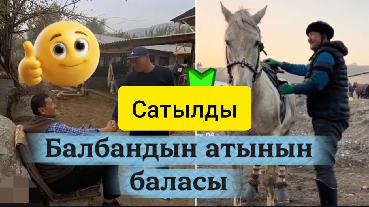 Балбандын атынын баласы