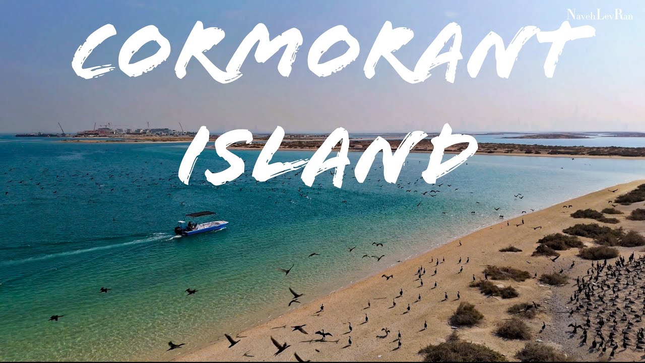 Dubai’s Cormorant hidden Island