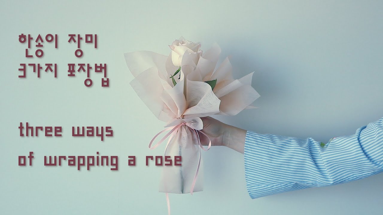 한송이 꽃포장 (3가지 포장법 ) Flower wrapping /three ways of wrapping a rose