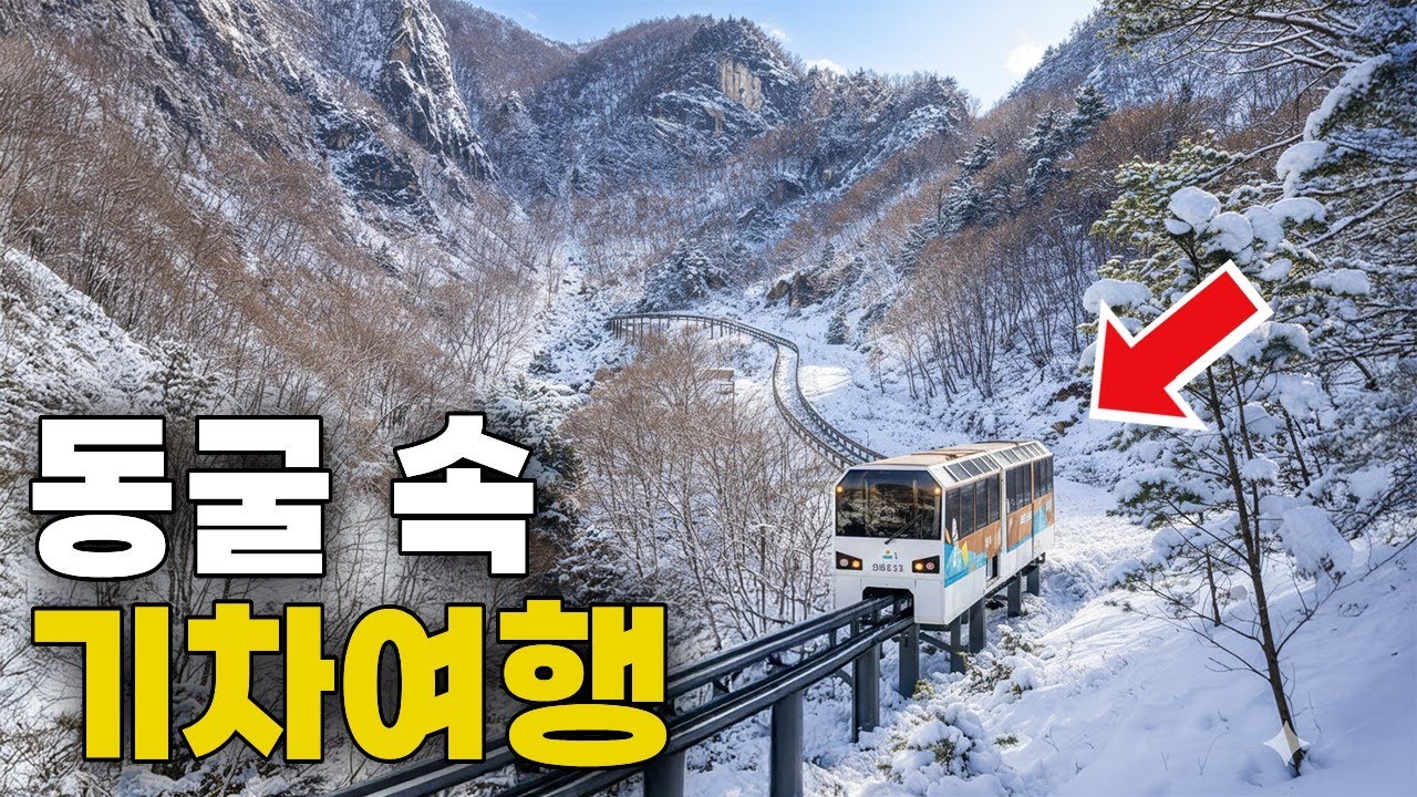 국내 유일! 기차 타고 동굴 속으로? '은하철도' 타고 떠나는 5억 년 전 지하세계 여행ㅣ대중교통 당일치기 여행
