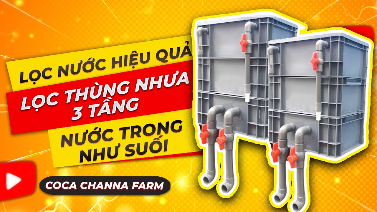 Bí Quyết Lọc Bể Cá Trong Vắt Với Thùng Nhựa 3 Tầng