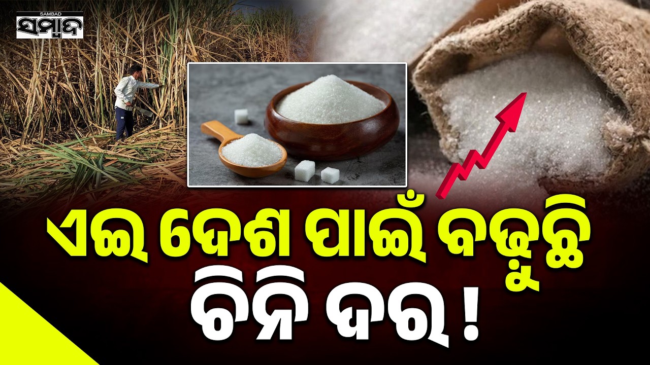 କାହିଁକି ବଢ଼ୁଛି ଚିନି ଦର? Global Sugar Crisis: Why Sugar Prices Are Rising Rapidly Worldwide | Sambad