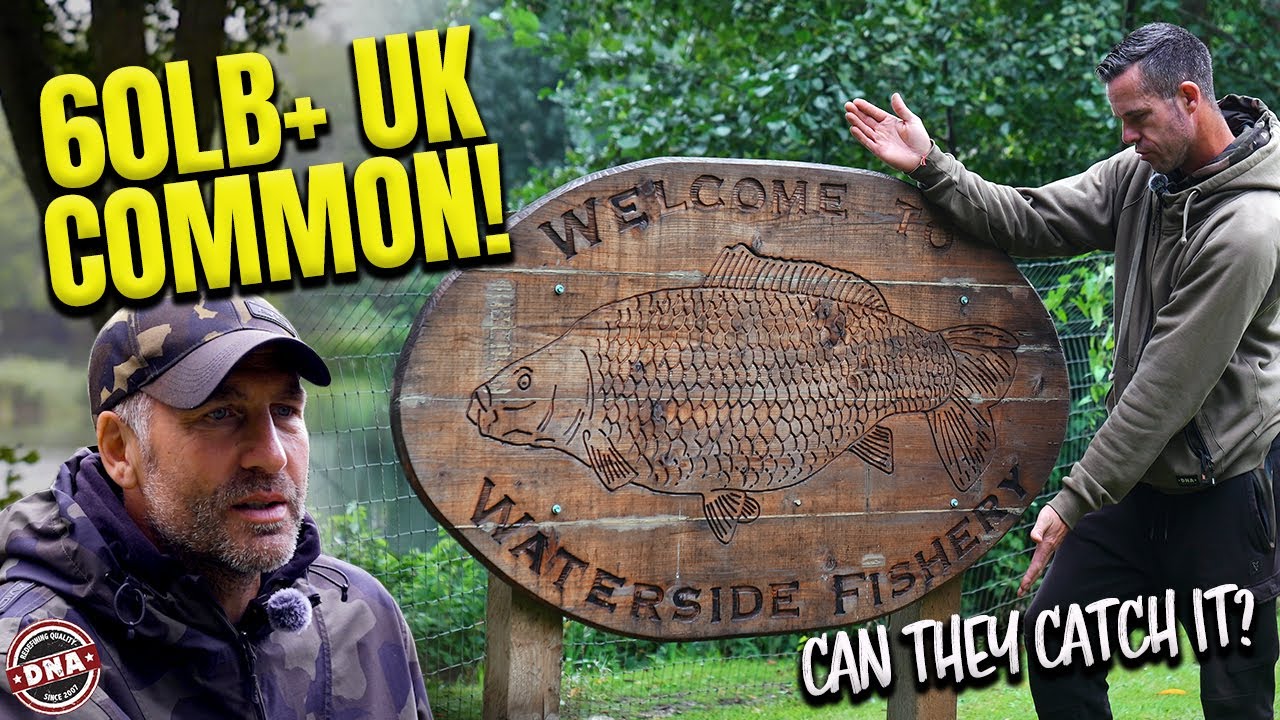 60LB+ UK COMMON CARP – CAN THEY CATCH IT? | DNA BAITS | CARP FISHING | LEE MORRIS | SIMON CROW
