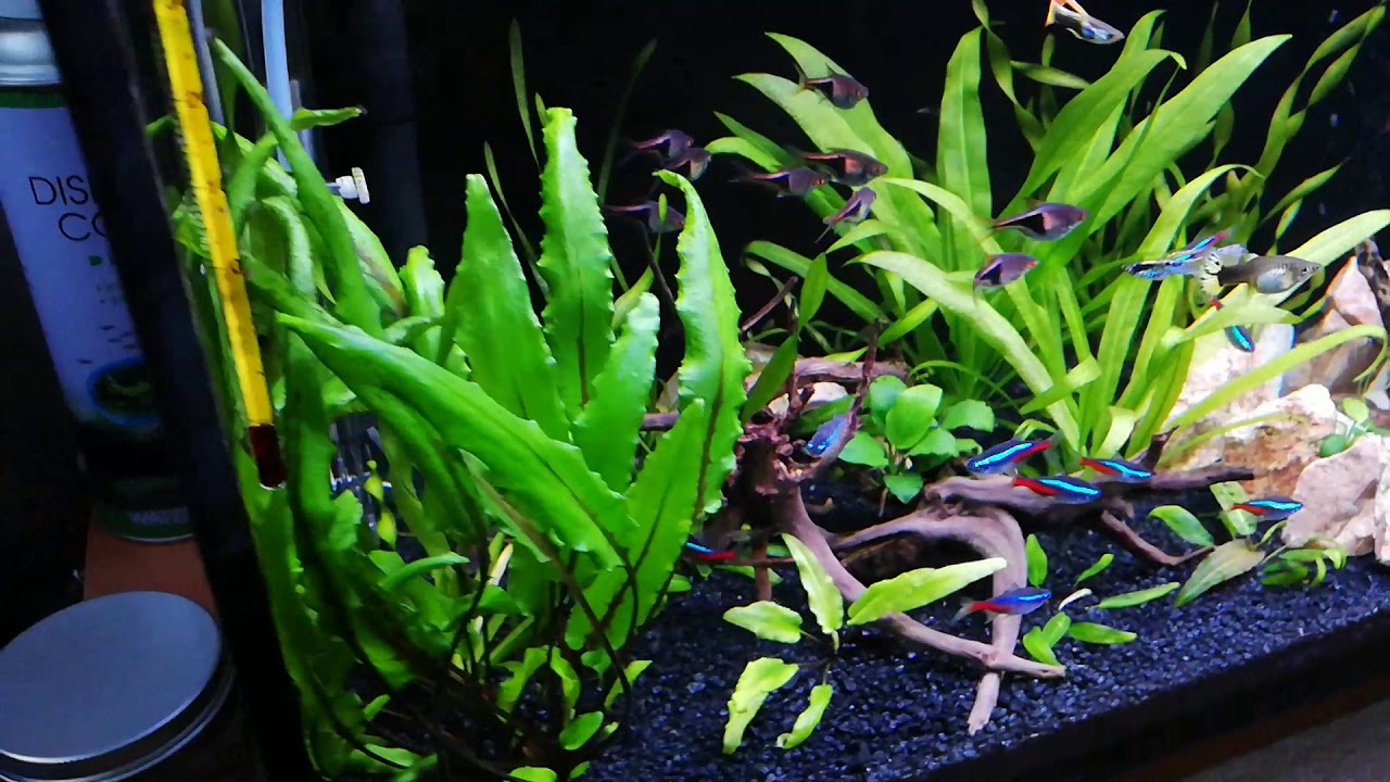 Akwarium 112l Aquael