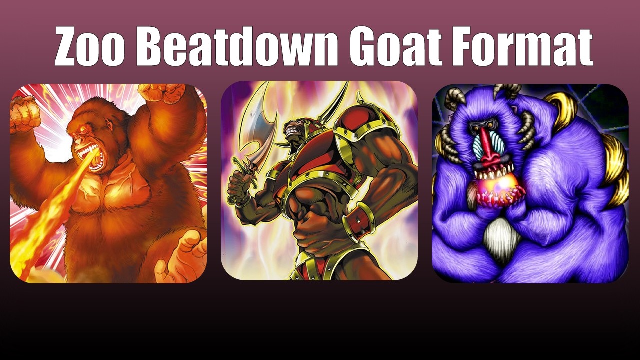 Zoo Beatdown -Yugioh Goat Format YgoPro/EdoPro 【#遊戯王】