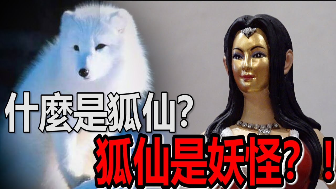 【什么是狐仙？】邀请泰国第一女鲁士讲解狐仙！狐仙是妖怪吗？狐仙有男的吗？！狐仙越多尾巴越厉害？！