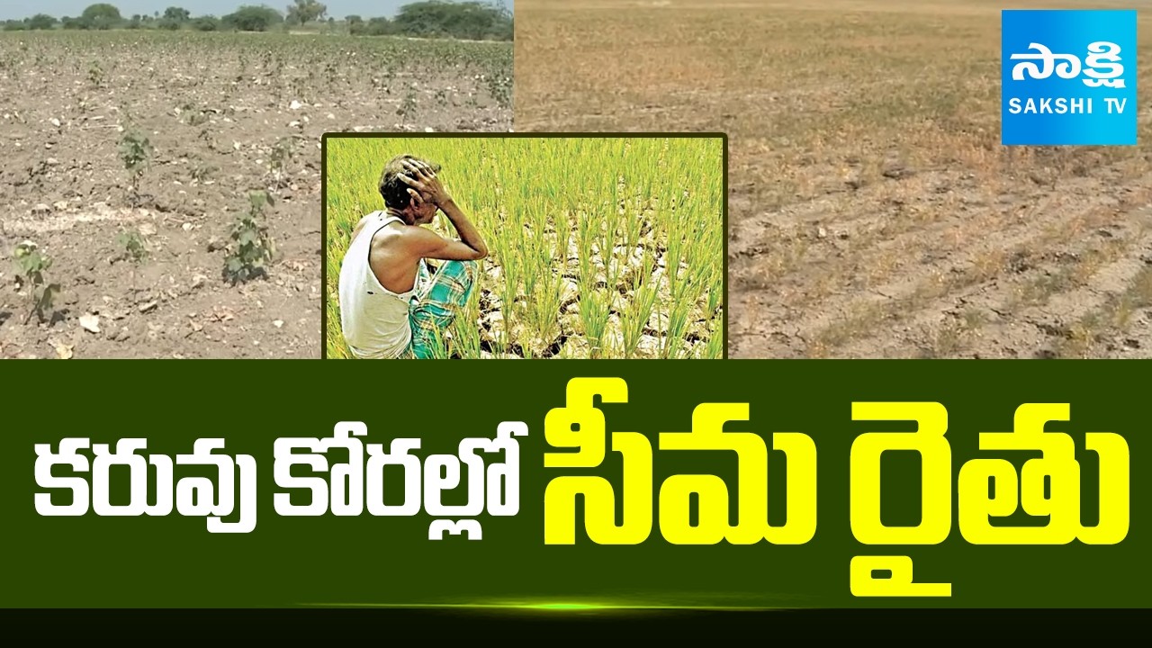 Rayalaseema Farmers Facing Drought Issues | Sakshi TV