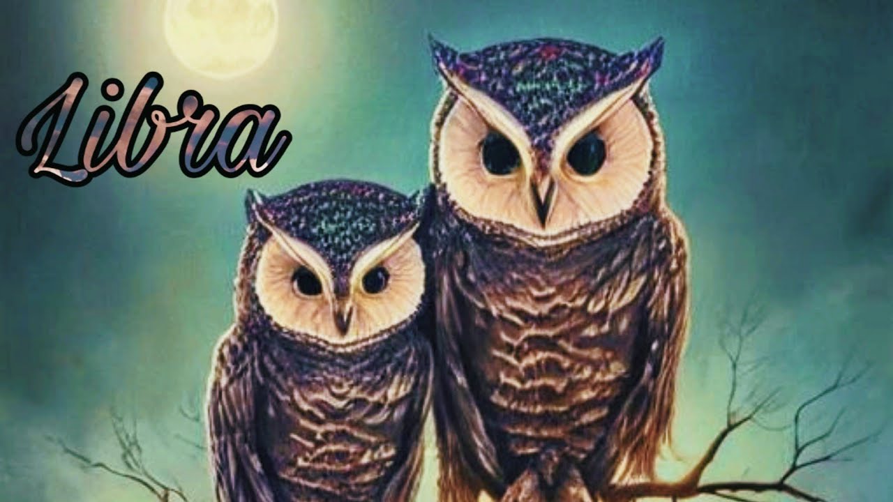 Libra ♎️ THE WEIRDEST THING KEPT HAPPENING!!! THESE TWO OWLS ARE 🦉🦉 CLOSELY WATCHING 👀 CHOSEN ONES!!