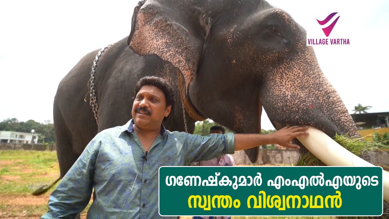 ഗണേഷ്കുമാര്‍ എംഎല്‍എയും കീഴൂട്ട് വിശ്വനാഥനും; ആനവിശേഷങ്ങളുമായി ഗണേഷ്കുമാര്‍