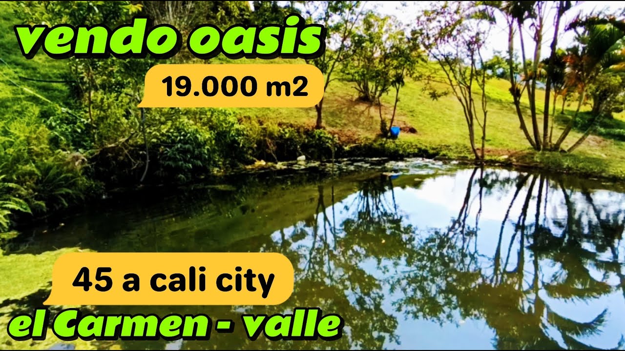 DESCUBRE un oasis en venta! el Carmen valle,un paraíso donde descansar #cali #colombia #ventasonline