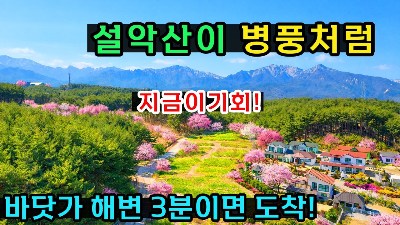 속초위에 봉포해변이 딱3분거리 토지매매ㅣ뒷쪽으로는 설악산이 병풍처럼 펼처지는 풍경까지 아름다운곳!