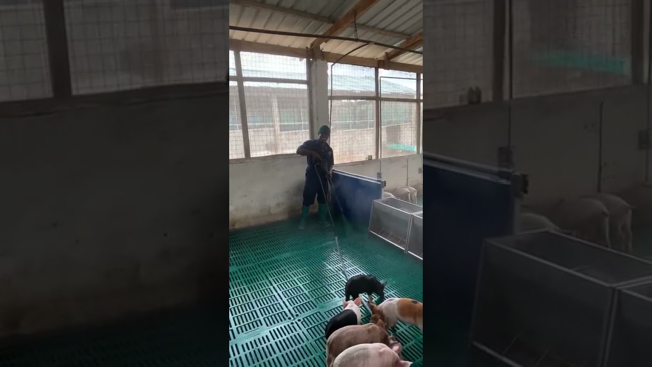 Pig farm poultry livestock steam cleaning machine,disinfection and sterilization, dust dropping wash