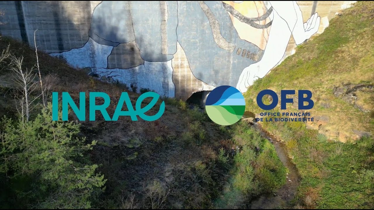 Mesure du débit d'un cours d'eau par la méthode d'exploration du champ des vitesses