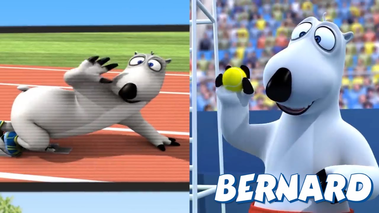 🐻‍❄️ BERNARD in the OLYMPIC GAMES | Full Episodes | VIDEOS and CARTOONS FOR KIDS