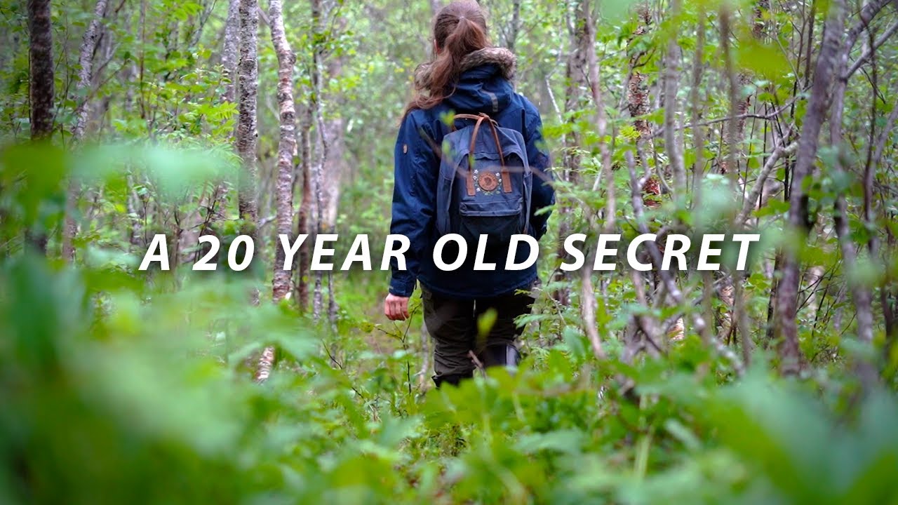 Escape the city and join me on a forest walk.