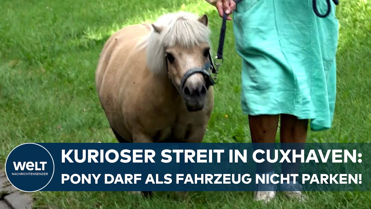CUXHAVEN: Bizarr! Pony 
