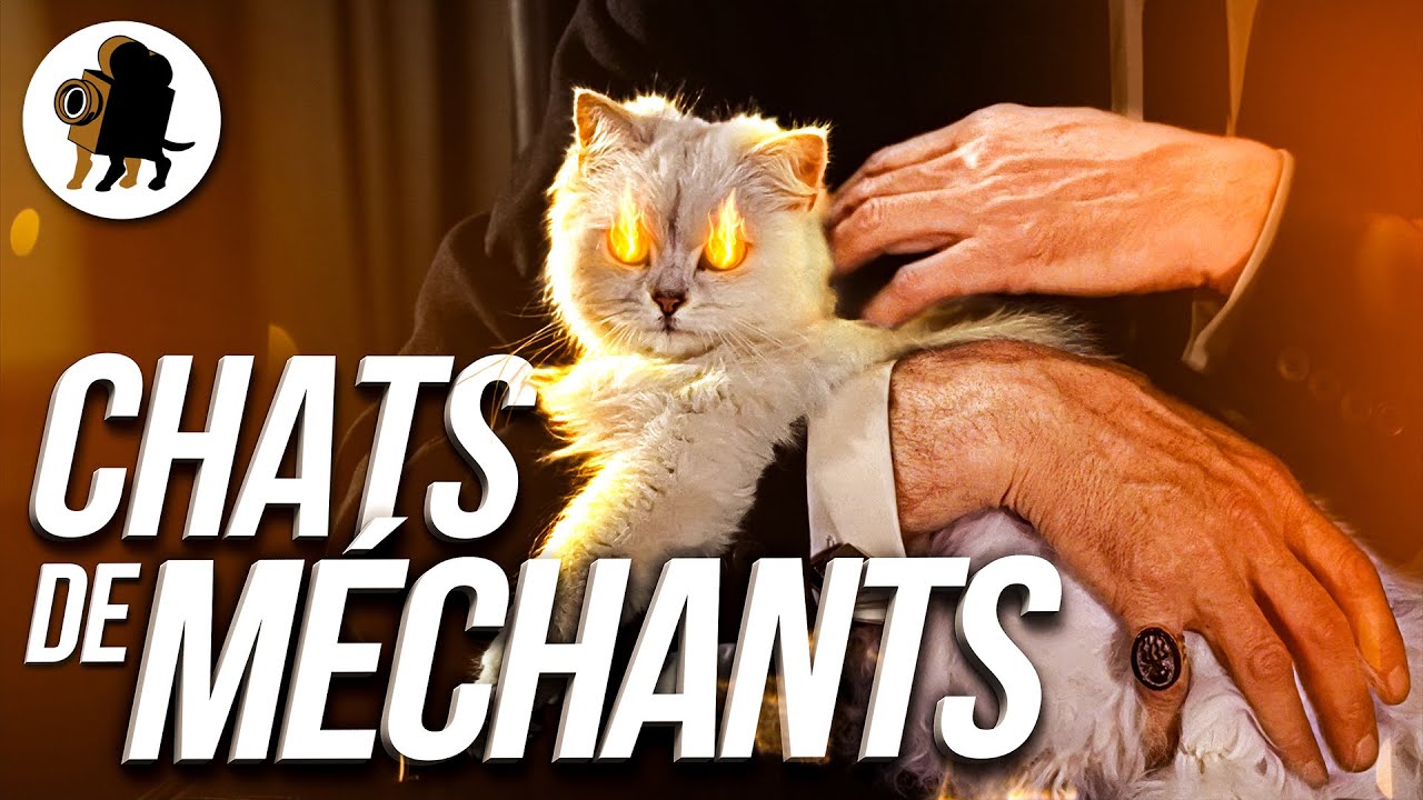 Pourquoi les méchants de films ont un CHAT ?