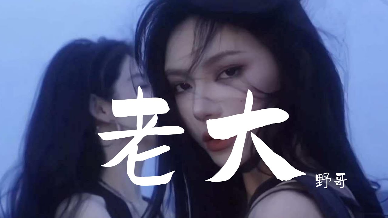 野哥 - 老大 (抖音热播DJ版) Lão Đại (Remix) - Dã Ca『真的话假的话 都比不了那句话 那句每天都要对你说的话』【2k24抖音火流行歌曲推荐TikTok】