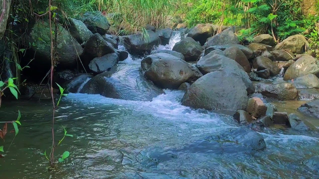 Serene River Under Moonlight – Peaceful Flowing Water Ambience for Sleep