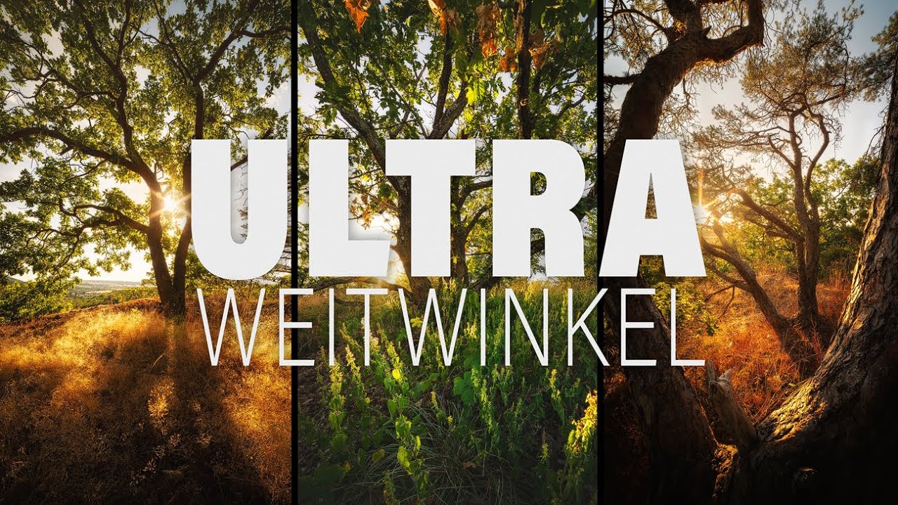 Bäume mit dem Ultraweitwinkel fotografieren | Landschaftsfotografie