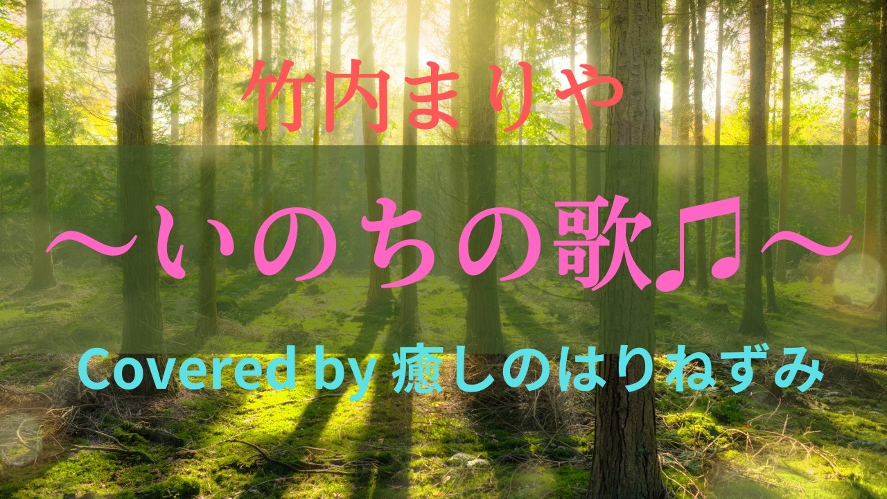 竹内まりやの「～いのちの歌♫～」をうたってみました！