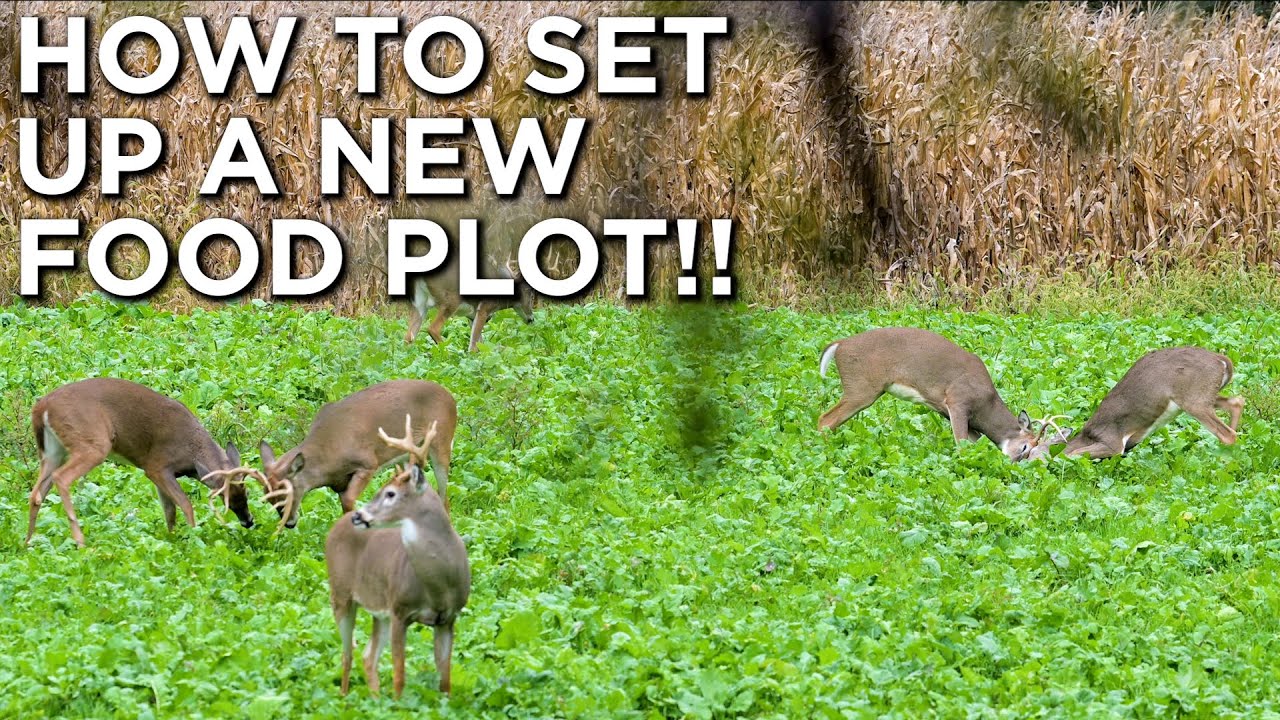 How To Set Up A Food Plot! | Plot Design, Seed Selection, Entry&Exit