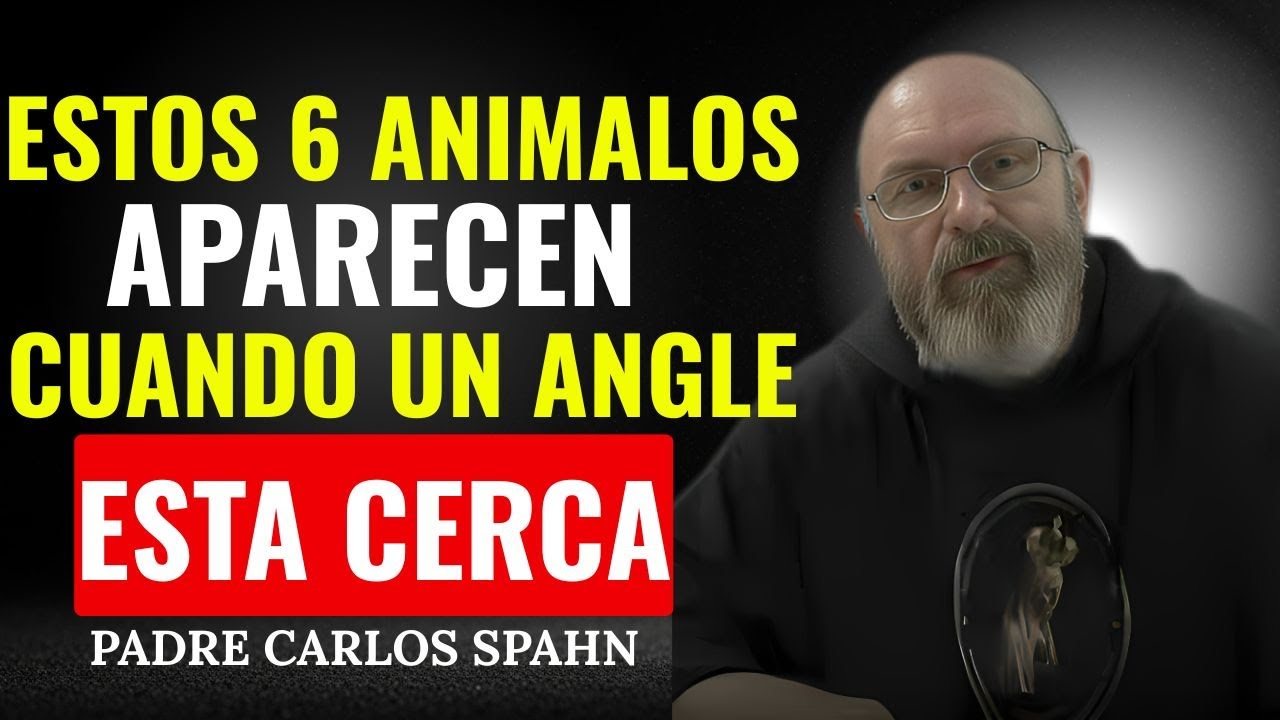 NUNCA TE LO DIJERON: 6 ANIMALES QUE REVELAN LA PRESENCIA DE UN ÁNGEL | Padre Carlos Spahn