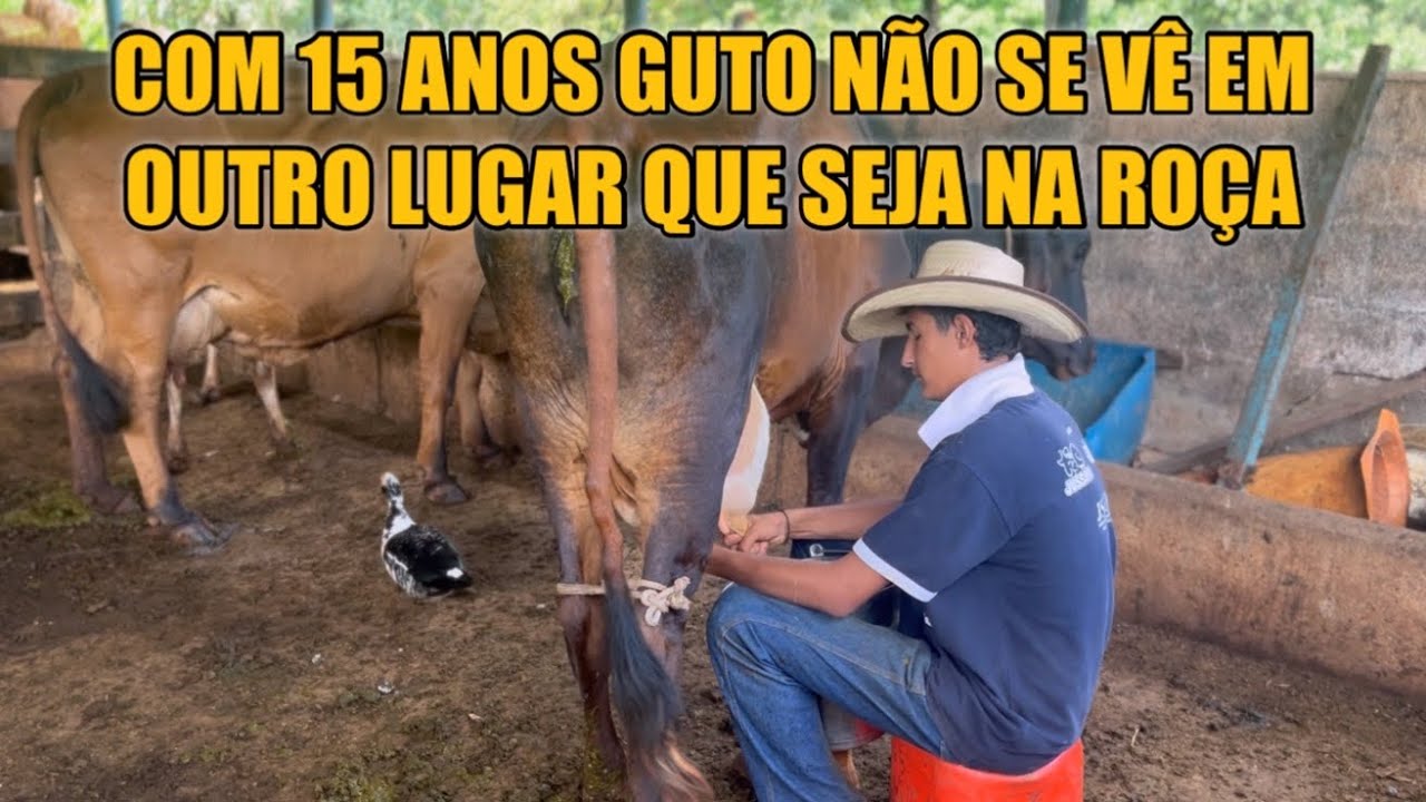 ELE TIRA LEITE NA MÃO E AMANSA BOI DE SELA